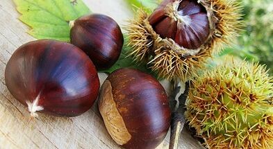 Horse chestnut prevents varicose veins